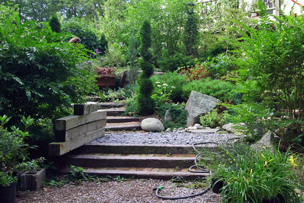 A garden with many steps and plants