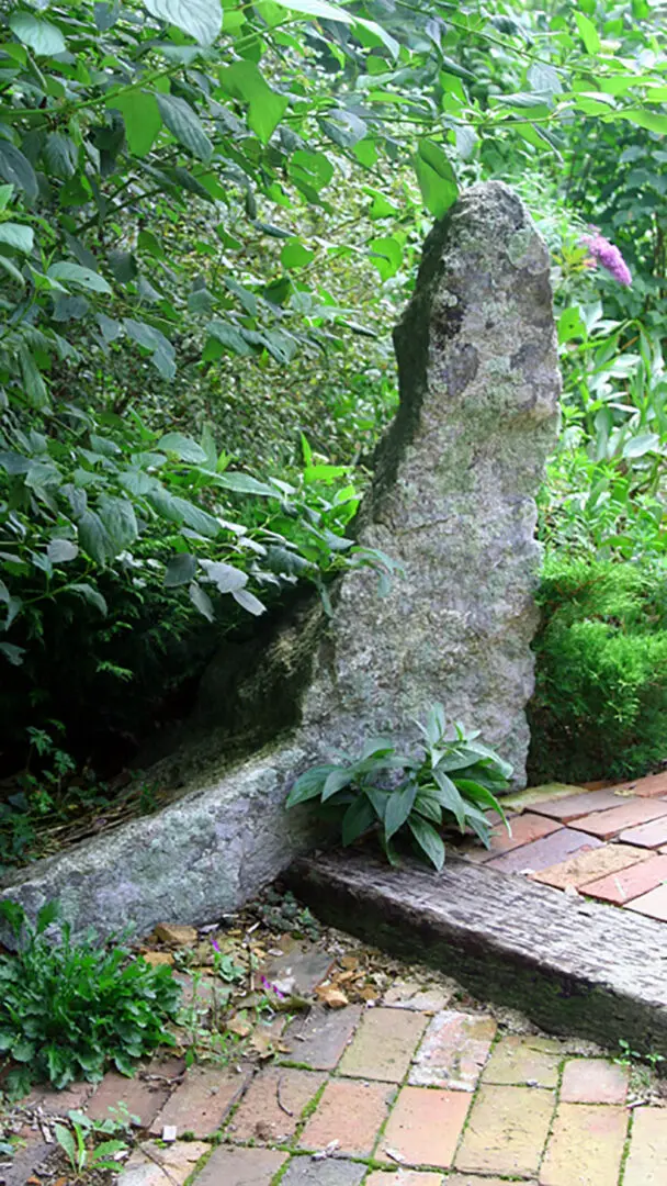 A stone wall with plants growing on it.