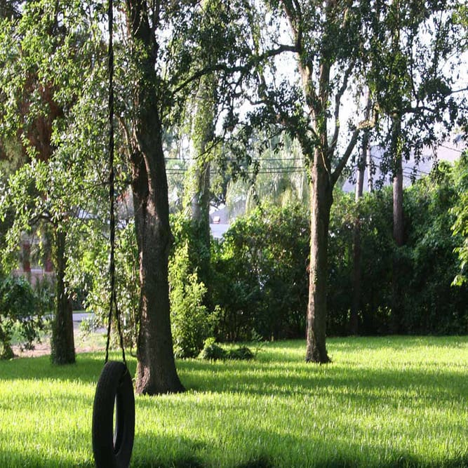 A tire swing hanging from a rope in the middle of a park.