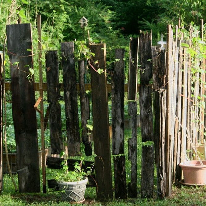 A wooden fence with vines growing on it.